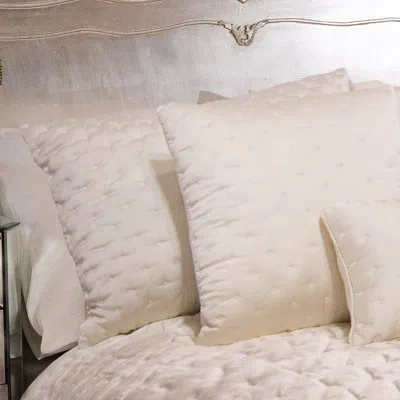 Donna Sharp Quilted Moonbeam Standard Or Euro Sham In Ivory