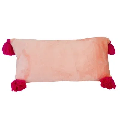 Donna Sharp Your Lifestyle By  Smoothie Plush Tassels Rectangle Throw Pillow In Red;pink