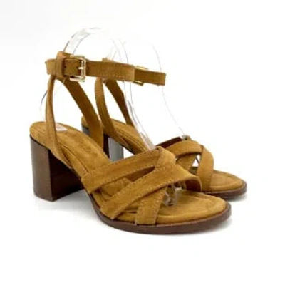 Donnalei Donna Lei ‘trevi' In Brown