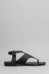 Donnarã¬ Donnarì Flats In Black