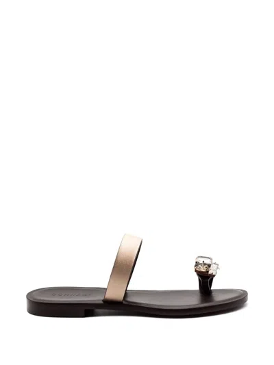 Donnari Crystal-embellished Mules In Black