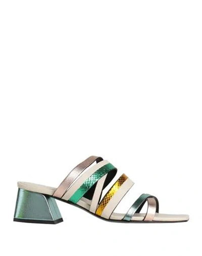 Donnari Donnarì Woman Sandals Light Green Size 7 Leather In Multi