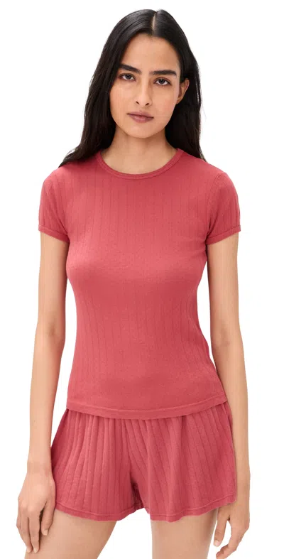 Donni The Pointelle Baby Tee Raspberry