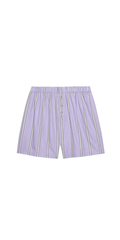 Donni The Pop Boxer Taro In Purple