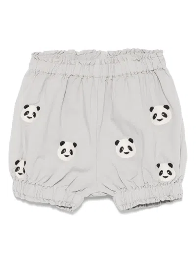 Donsje Babies' Carson Bloomers In 灰色