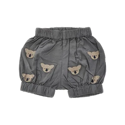 Donsje Koalas Embroidery 'carson' Bloomers Kids In Gray