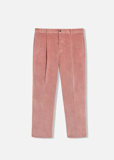 Doppiaa Aantioco Cotton Velvet Trousers With Darts In Pink