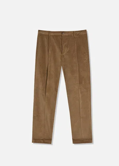 Doppiaa Aantioco Cottton Velvet Trousers With Darts In Brown