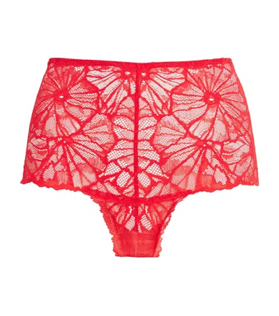 Dora Larsen Lace Bea High-waist Briefs In Red