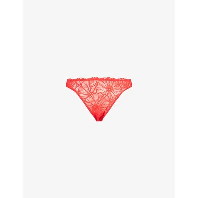 Dora Larsen Womens Bea Graphic Lace Briefs