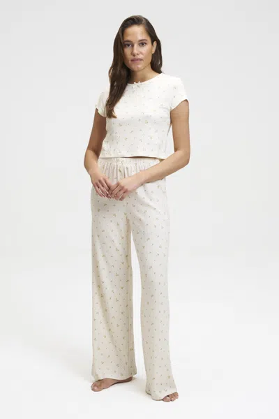 Dore & Rose Pointelle Baby Tee And Pants Set