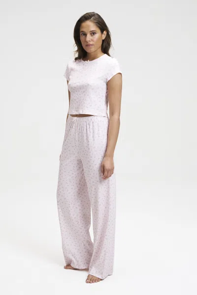 Dore & Rose Pointelle Baby Tee And Pants Set - Pink Floral