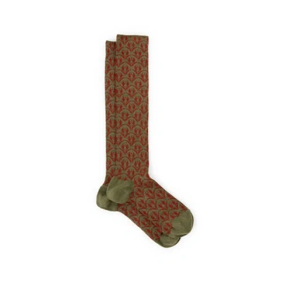Dore Dore Chaussettes Hautes En Laine In Green