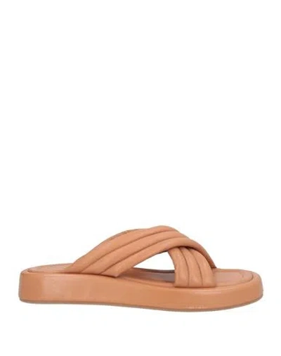 Doria Maria Woman Sandals Tan Size 8 Leather In Brown