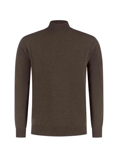 Doriani Cashmere High-neck Ribbed-trim Sweater In Brown