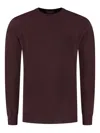 Doriani Crew-neck Sweater In Purple