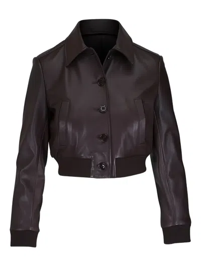 Dorothee Schumacher Collared Cropped Jacket In Brown