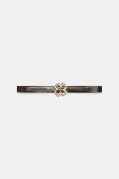 Dorothee Schumacher D-rose Buckle Belt In Brown