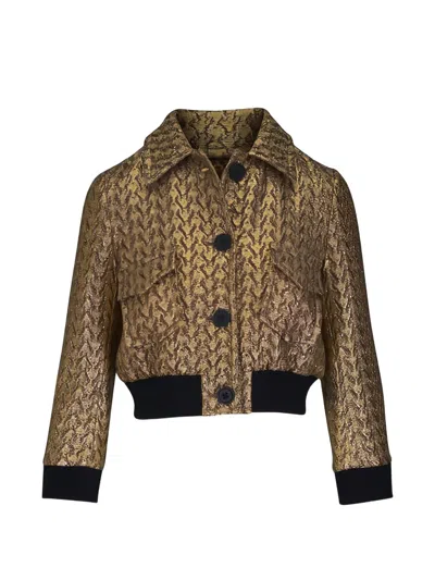 Dorothee Schumacher Golden Hour Collared Cropped Jacket In Brown