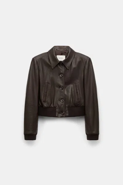 Dorothee Schumacher Leather Mini Blouson Jacket In Brown