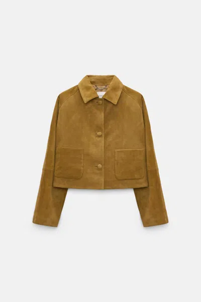 Dorothee Schumacher Buttoned Patch-pocket Jacket In Brown