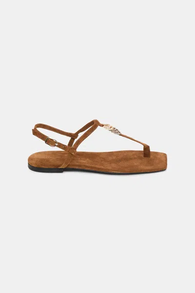 Dorothee Schumacher Suede T-strap Sandals With D-rings In Brown