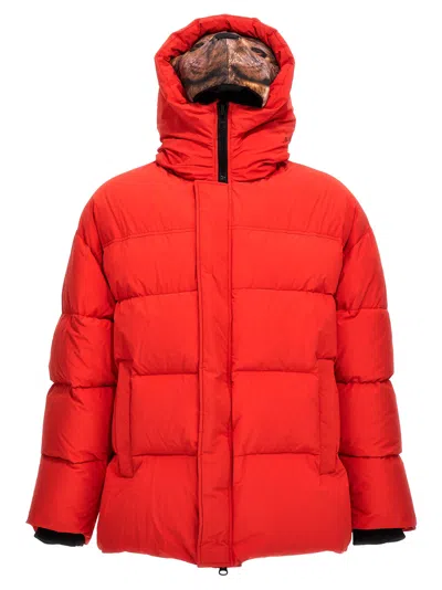DOUBLET ANIMAL TRIM DOWN JACKET