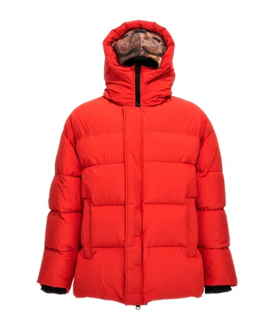DOUBLET PADDED ANIMAL MOTIF-HOODIE JACKET
