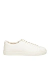 Doucal's Man Sneakers Cream Size 9 Leather