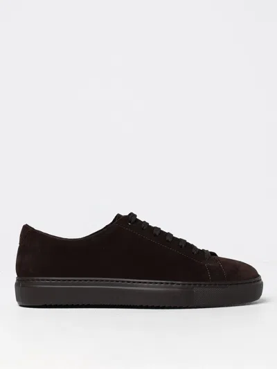 Doucal's Trainers  Men Colour Brown In Braun