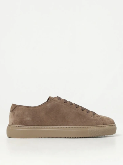 Doucal's Sneakers  Men Color Brown In Brown