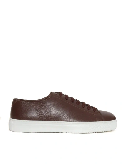 Doucal's Sneaker In Brown