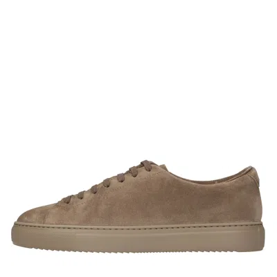Doucal's Sneakers Brown In Marrone Marroni