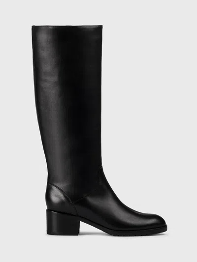 DOUCAL'S BOOTS DOUCAL'S WOMAN COLOR BLACK,H50643002