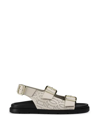 Doucal's Buckle Leather Sandals In Multi