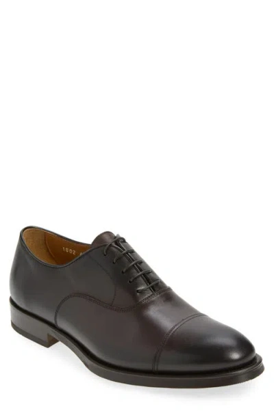 Doucal's Orvieto Cap Toe Wingtip Oxford In Brown