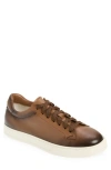 Doucal's Spencer Low Top Sneaker In Brown