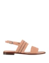Doucal's Woman Sandals Antique Rose Size 8 Leather In Brown