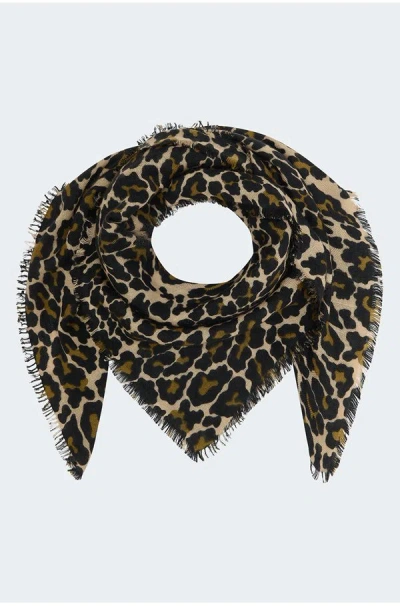 Douce Gloire Edmond Scarf In Savane
