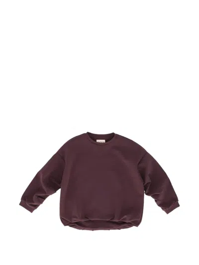 Douuod Crew-neck Long-sleeve Sweater In Purple