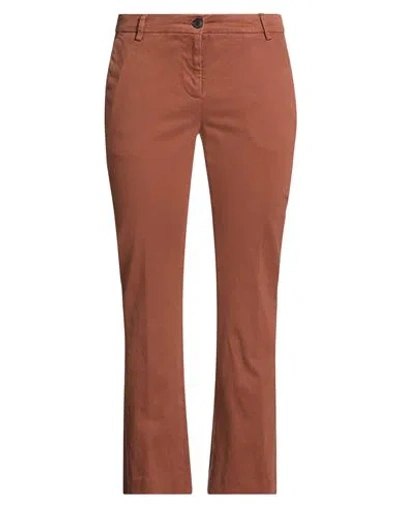 Douuod Woman Pants Brown Size 6 Cotton, Elastane