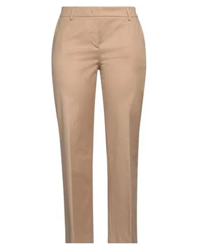 Douuod Woman Pants Camel Size 10 Cotton, Elastane In Neutral