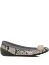 Dove Nuotano Gli Squali Becky Snake-print Appliqué Ballet Flats In Gray