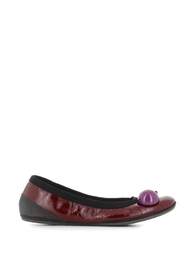 Dove Nuotano Gli Squali Embellished Patent-leather Ballet Flats In Burgundy