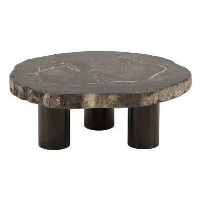 Dovetail Furniture Darnell Petrified Wood Coffee Table Natural And Black In Natural Wood,black