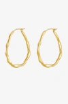 Dower & Hall Large Oval Waterfall Hoops In Gold