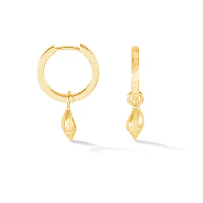 Dower & Hall Seashell Narrative Huggie Hoops In Gold