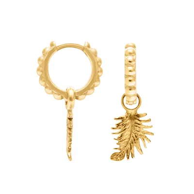 Dower & Hall Women's 18ct Yellow Gold Vermeil Feather Charm Dotty Hoops