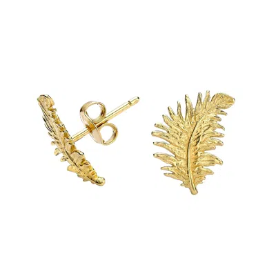 Dower & Hall Women's 18ct Yellow Gold Vermeil Large Feather Studs