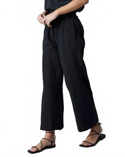 Downeast Women's Kiko Pant In Black